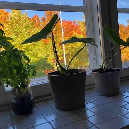 Toukola 60 M2 Apartment. Mi Casa Tu Casa Huoneisto